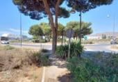 268m² commercial premises for sale in El Ejido, Calle Diamante photo