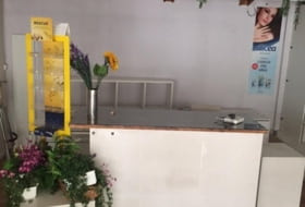 Foto 9