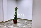 50m² offices for sale in Lucena, avenida del parque, 14900 photo