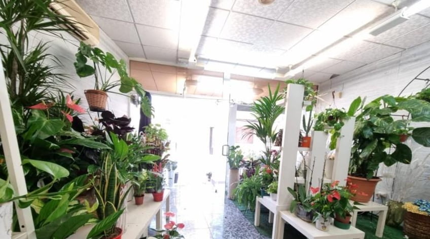Local comercial