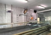 Local comercial en venta con 150m² en Pilar de la Horadada, Paseo Sardinero foto