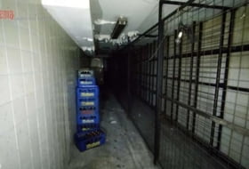 Foto 13