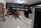 Local comercial Industrial
en venda
amb 1553m² a Madrid, a la zona de Casc Històric de Vallecas, Calle de González Dávila foto