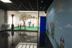 Foto 8
