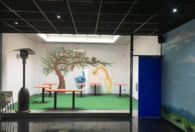 Foto 11