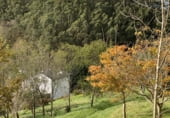 611m² hotel for sale in Ribadebaxu, Urbanización Villar de Luarca photo