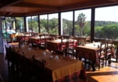 916m² restaurant for sale in Tossa de Mar, photo