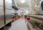 Restaurante en venta con 567m² en Elche, Camino Vereda de Dolores a Alicante foto