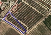 162m² locaux commerciaux pour vente à Reus, Camí Roquís photo