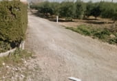162m² locaux commerciaux pour vente à Reus, Camí Roquís photo