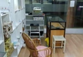 Local comercial en venta con 30m² en Benicarló, Plaza Cupello foto