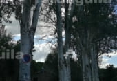 Hotel
en venda
amb 1093m² a San Martín del Castañar, Calle del Nuevo foto