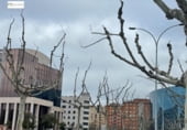 92m² bureau pour vente à León, dans le quartier de Centre, Calle Luis S. Carmona photo