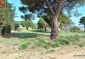 Edifici
en venda
amb 774m² a Palafolls, Avinguda de la Costa Brava foto