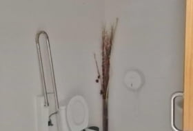 Foto 10