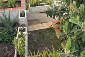 Foto 6