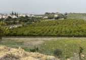 Nau Industrial
en venda
amb 1000m² a Cártama, Calle Isaac Albéniz foto