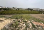 Nau Industrial
en venda
amb 1000m² a Cártama, Calle Isaac Albéniz foto