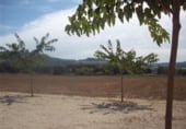 Hotel en venta con 1410m² en Bocairente, Calle del Doctor Fleming foto