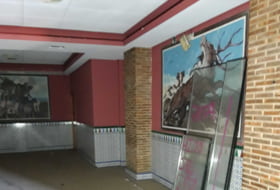 Foto 7