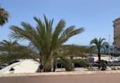 115m² bar for sale in Elche, in the area of The Sands of the Sun, zona paseo maritimo photo