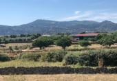 Bar en venta con 950m² en Albalá, Calle General Mola foto