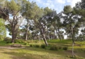 253m² commercial premises for sale in Madrid, in the area of Beautiful Views, Calle de Pamplona photo