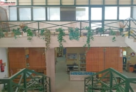 Foto 6