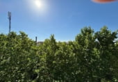 76m² bureau pour vente à Manresa, dans le quartier de Passeig i Rodalia, Passeig de Pere III photo