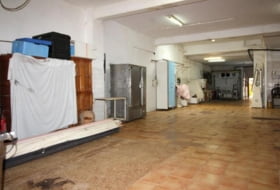 Foto 8