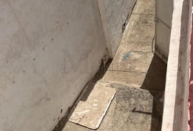 Foto 11