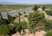 2624m² restaurant pour vente à Guadix, photo