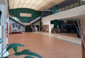 Foto 1