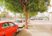 Local comercial en venta con 423m² en Villajoyosa foto