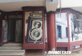 Foto 4
