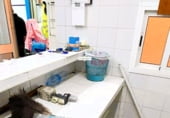 94m² locaux commerciaux pour vente à Huelva photo