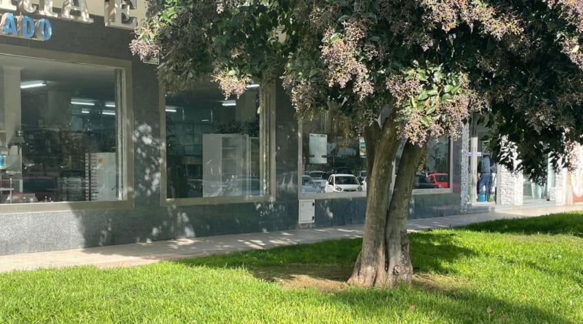 Local comercial