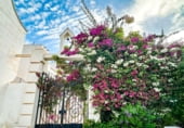 614m² building for sale in Altea photo