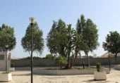 Oficina en venta con 55m² en Sevilla, en la zona de Barriada Pino Montano, Calle Estrella Vega foto