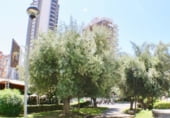 Bar
en venda
amb 90m² a Benidorm, Calle de Jaén foto