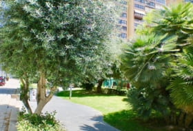 Foto 9