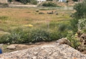 Nau
en venda
amb 646m² a Fuentealbilla, Entidad Fuentealbilla foto