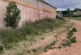 Foto 12
