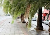 Local comercial en venta con 101m² en Santa Brígida, Calle Circunvalación foto