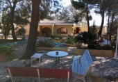 Restaurante en venta con 759m² en Lucena del Cid foto