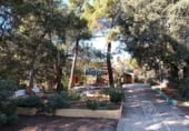 Restaurante en venta con 759m² en Lucena del Cid foto