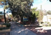 Restaurante en venta con 759m² en Lucena del Cid foto