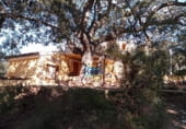 Restaurante en venta con 759m² en Lucena del Cid foto