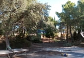 Restaurante en venta con 759m² en Lucena del Cid foto