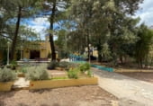 Restaurante en venta con 759m² en Lucena del Cid foto